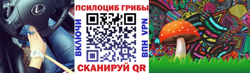 сколько стоит  Валдай  Псилоцибиновые грибы MAGIC MUSHROOMS 